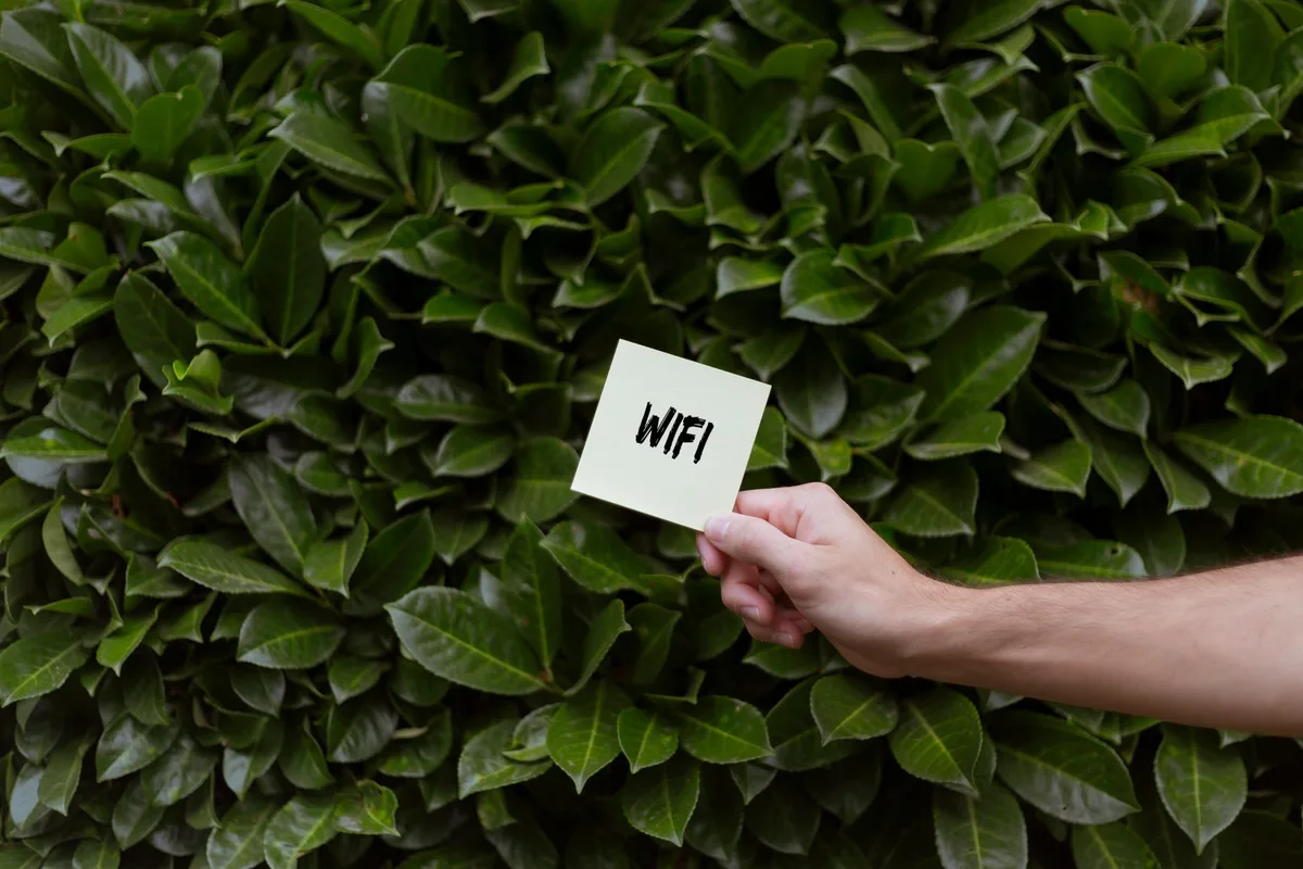 WiFi vs Zigbee